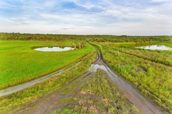 Photo - 768 Letchford Road, Darwin River NT 0841 - Image 7