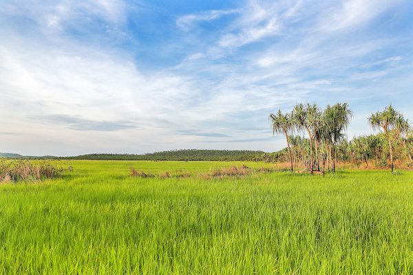 Photo - 768 Letchford Road, Darwin River NT 0841 - Image 9