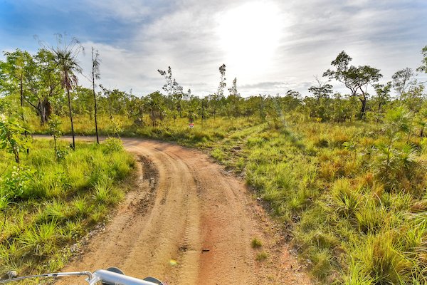 Photo - 768 Letchford Road, Darwin River NT 0841 - Image 10