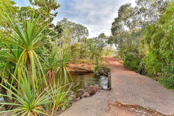 Photo - 768 Letchford Road, Darwin River NT 0841 - Image 15