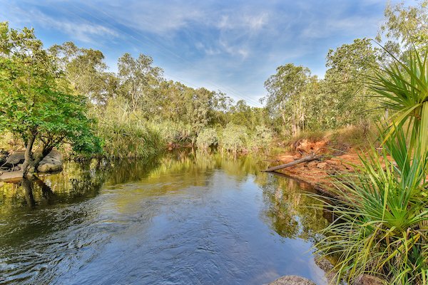 Photo - 768 Letchford Road, Darwin River NT 0841 - Image 16