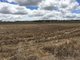 Photo - 768 Oakey-Pittsworth Road, Aubigny QLD 4401 - Image 1