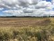 Photo - 768 Oakey-Pittsworth Road, Aubigny QLD 4401 - Image 2