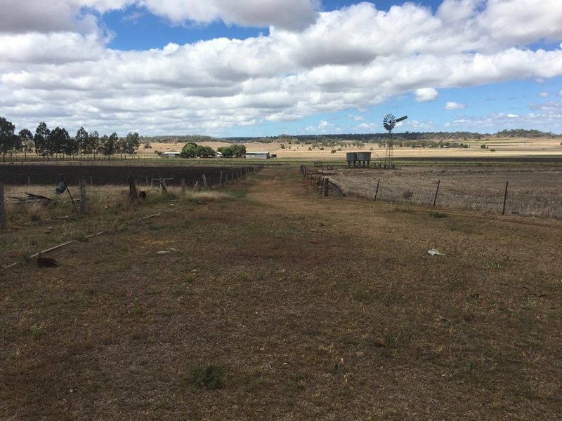 Photo - 768 Oakey-Pittsworth Road, Aubigny QLD 4401 - Image 3