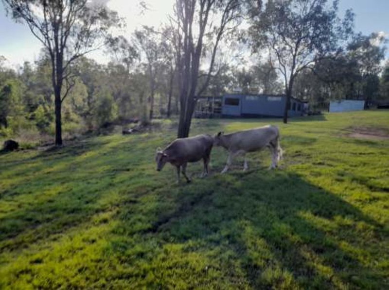 Photo - 768 Old Esk North Road, South East Nanango QLD 4615 - Image 3