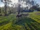 Photo - 768 Old Esk North Road, South East Nanango QLD 4615 - Image 3