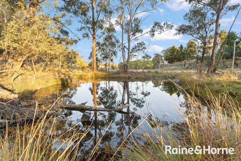 Photo - 769 Bocoble Road, Bocoble NSW 2850 - Image 24