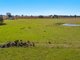 Photo - 769 Lagoon Road, West Coraki NSW 2471 - Image 9