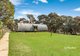 Photo - 769 Strath Creek Road, Tyaak VIC 3658 - Image 16