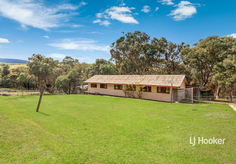 Photo - 769 Strath Creek Road, Tyaak VIC 3658 - Image 18