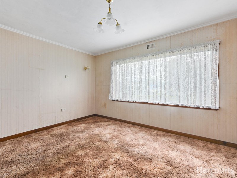 Photo - 77 Agnes Street, George Town TAS 7253 - Image 13