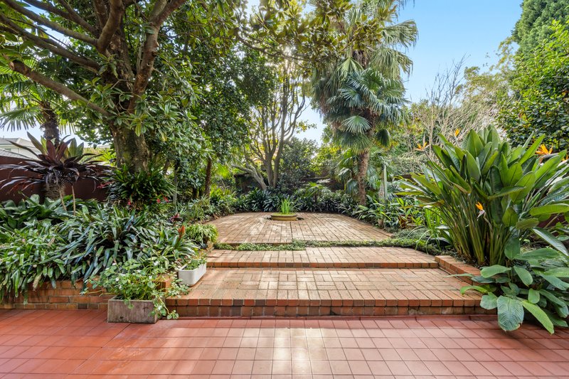 Photo - 77 Belmont Road, Mosman NSW 2088 - Image 8