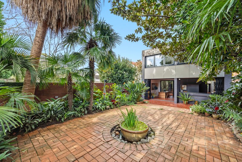 Photo - 77 Belmont Road, Mosman NSW 2088 - Image 9