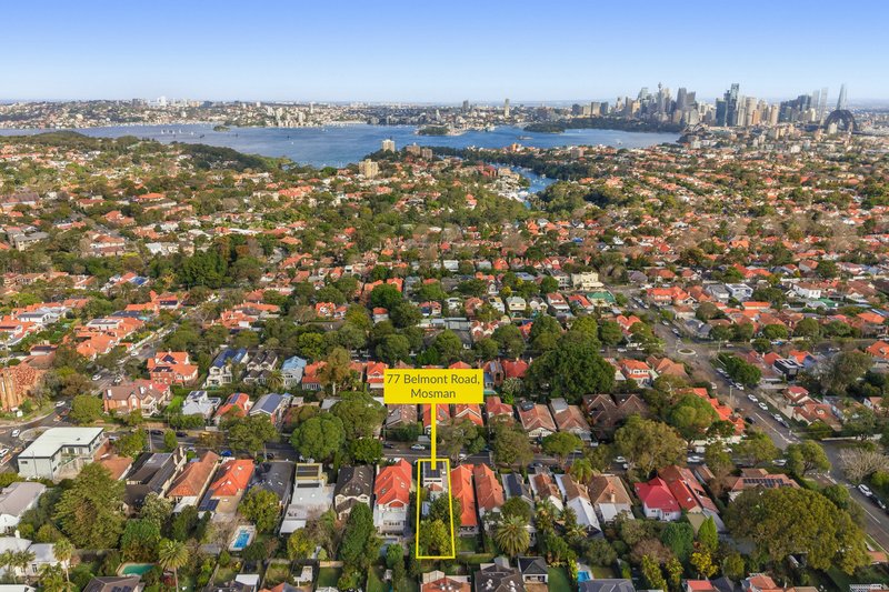 Photo - 77 Belmont Road, Mosman NSW 2088 - Image 22