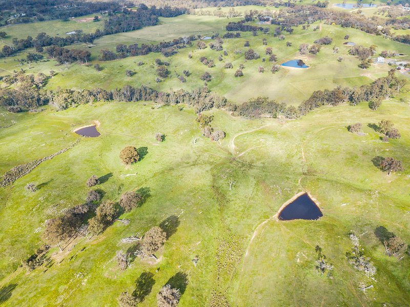 Photo - 77 Drechsler Road, Sedgwick VIC 3551 - Image 10