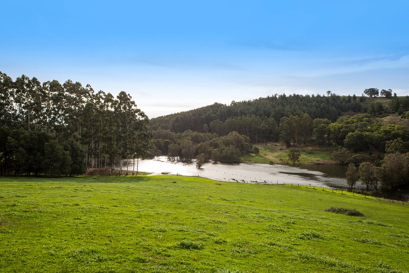 Photo - 77 Hawterville Road, Mullalyup WA 6252 - Image 6