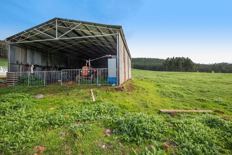 Photo - 77 Hawterville Road, Mullalyup WA 6252 - Image 13