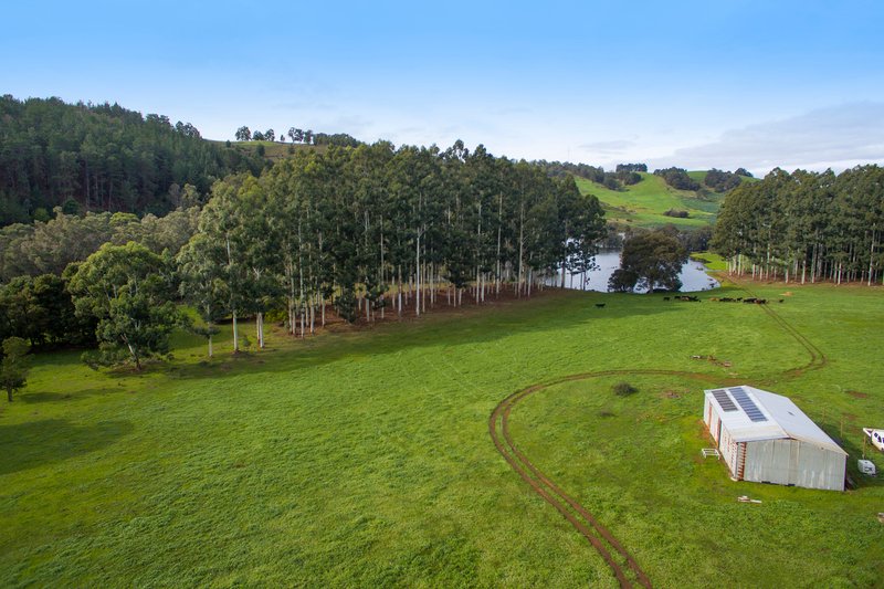 Photo - 77 Hawterville Road, Mullalyup WA 6252 - Image 15