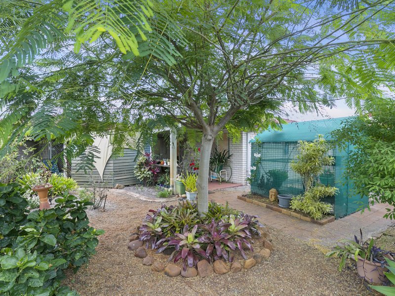 Photo - 77 Jasmin Drive, Bongaree QLD 4507 - Image 17