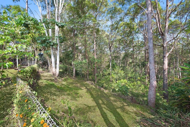 Photo - 77 Jones Road, Buderim QLD 4556 - Image 9