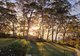 Photo - 77 Kent Gardens, Soldiers Point NSW 2317 - Image 15