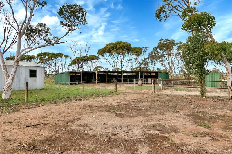 Photo - 77 Lowey Road, Windsor SA 5501 - Image 3