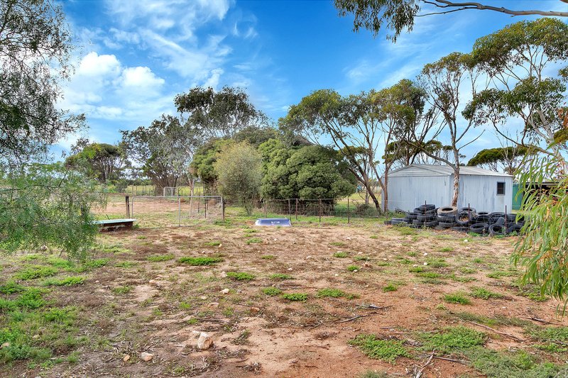 Photo - 77 Lowey Road, Windsor SA 5501 - Image 24