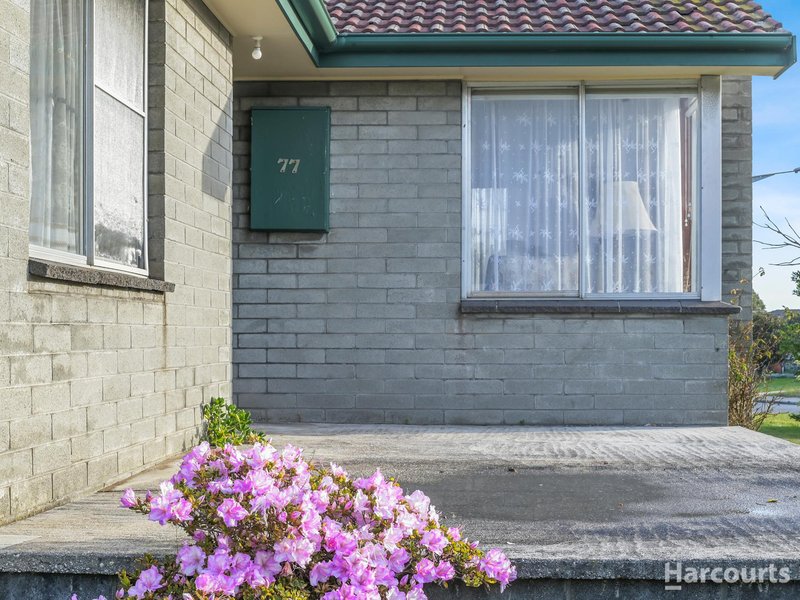 Photo - 77 Marguerite Street, George Town TAS 7253 - Image 3