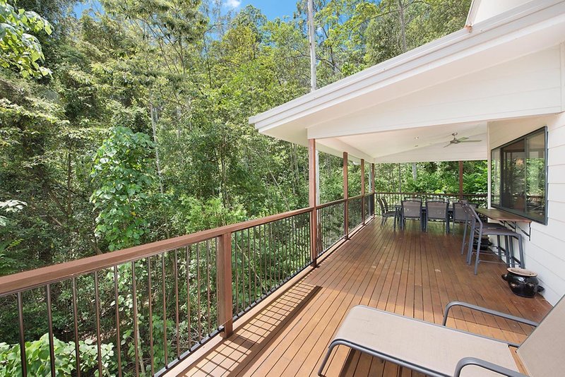 Photo - 77 Martins Creek Road, Buderim QLD 4556 - Image 4