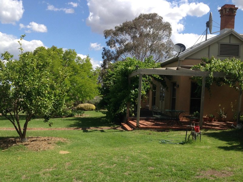 Photo - 77 Mary Gilmore Road, Wagga Wagga NSW 2650 - Image 6