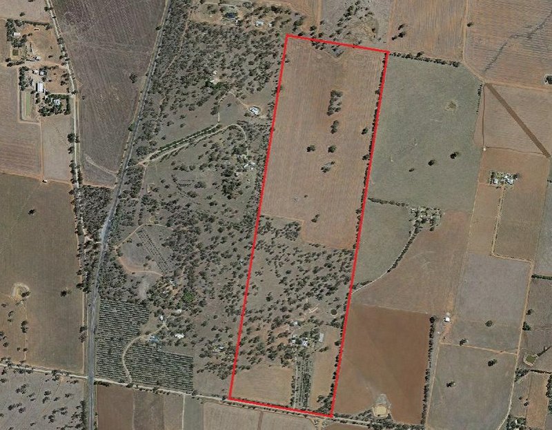 Photo - 77 Mary Gilmore Road, Wagga Wagga NSW 2650 - Image 14