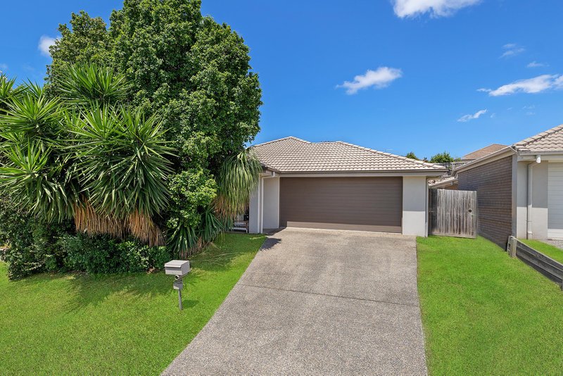 Photo - 77 Nutmeg Drive, Griffin QLD 4503 - Image 6