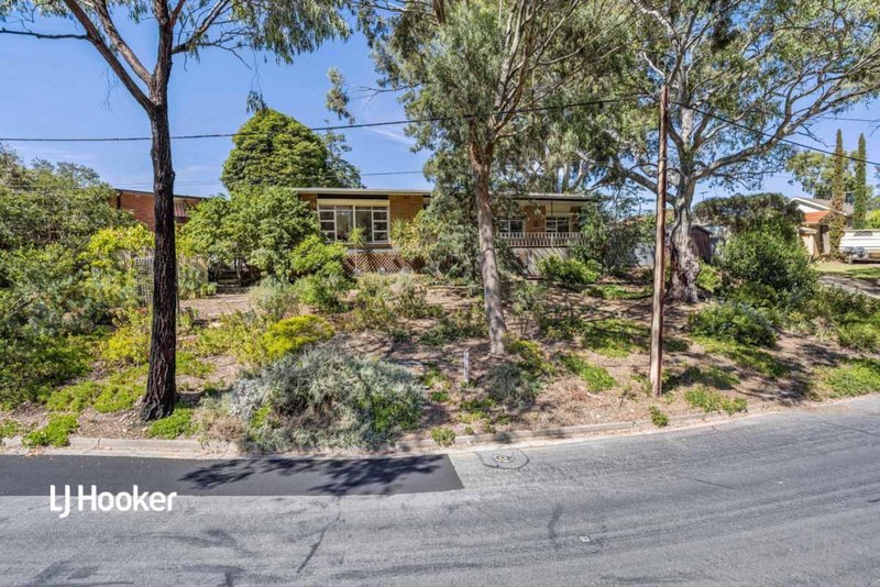 77 Rutherglen Avenue, Valley View SA 5093