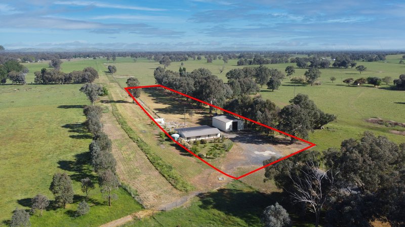 77 Tip Road, Holbrook NSW 2644