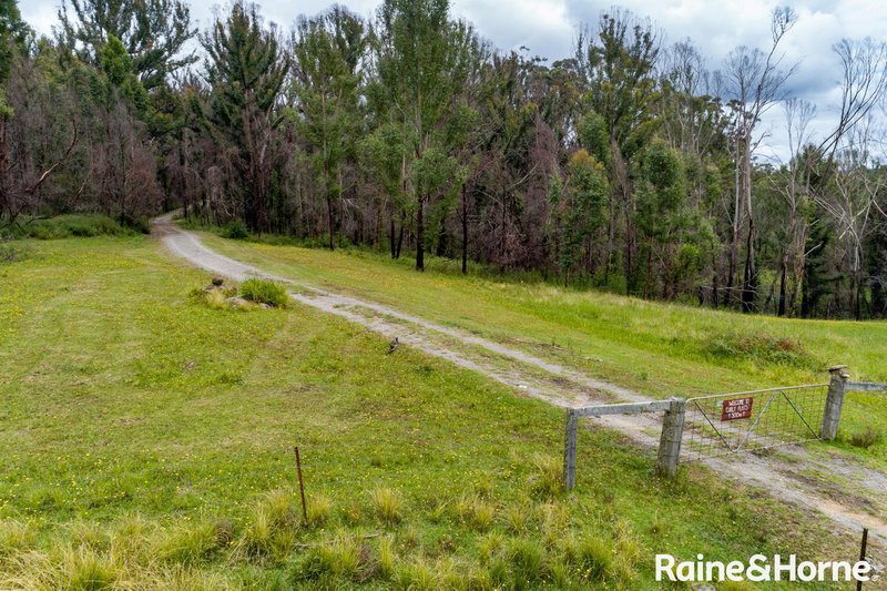 Photo - 770A Mount Scanzi Road, Kangaroo Valley NSW 2577 - Image 20