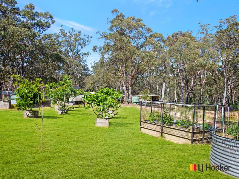 Photo - 773 Windywoppa Road, Benandarah NSW 2536 - Image 18