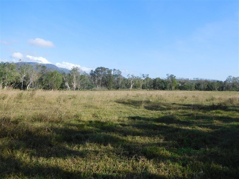 Photo - 7733 Bruce Highway, Bloomsbury QLD 4799 - Image 9