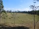 Photo - 7733 Bruce Highway, Bloomsbury QLD 4799 - Image 17