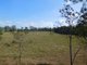 Photo - 7733 Bruce Highway, Bloomsbury QLD 4799 - Image 19