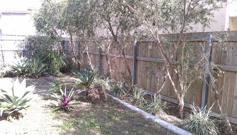 Photo - 7/75 Levington Road, Eight Mile Plains QLD 4113 - Image 14