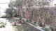 Photo - 7/75 Levington Road, Eight Mile Plains QLD 4113 - Image 14