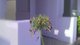Photo - 7/75 Levington Road, Eight Mile Plains QLD 4113 - Image 15
