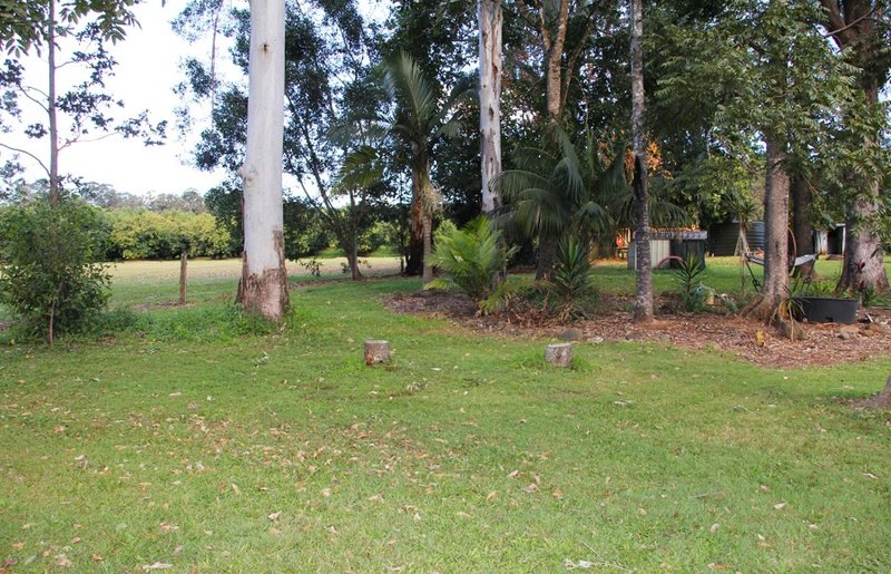 Photo - 776 Green Pigeon Road, Green Pigeon , Kyogle NSW 2474 - Image 21