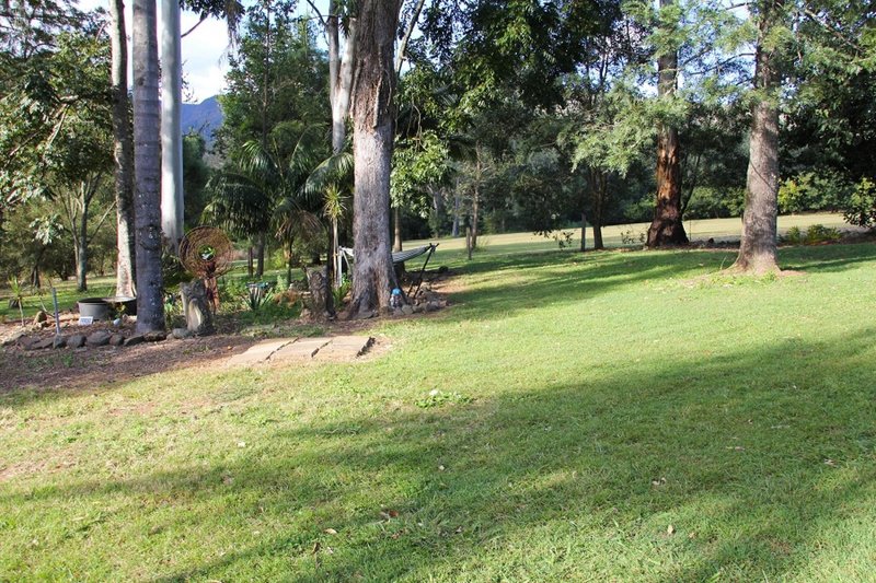 Photo - 776 Green Pigeon Road, Green Pigeon , Kyogle NSW 2474 - Image 22