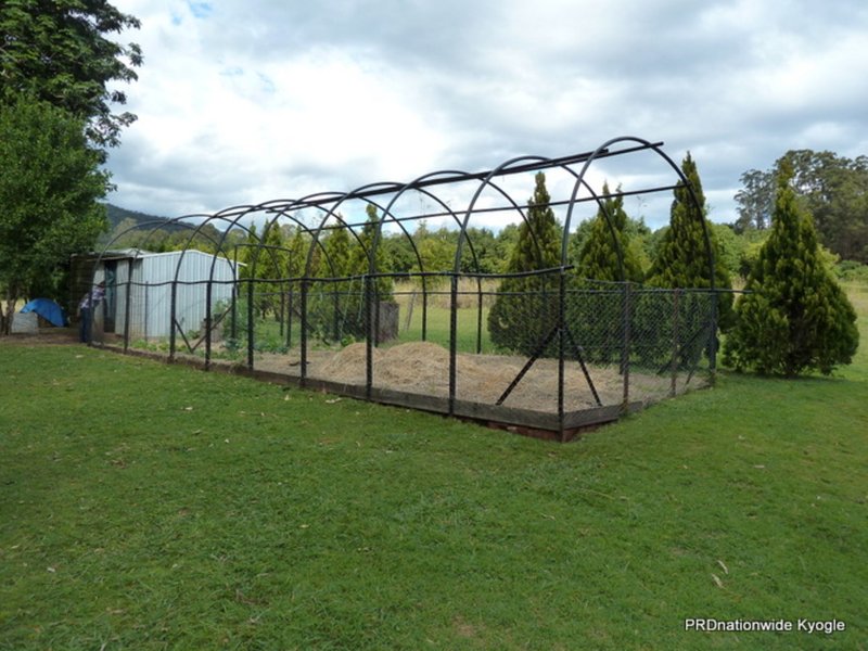 Photo - 776 Green Pigeon Road, Kyogle NSW 2474 - Image 16