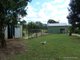 Photo - 776 Green Pigeon Road, Kyogle NSW 2474 - Image 19