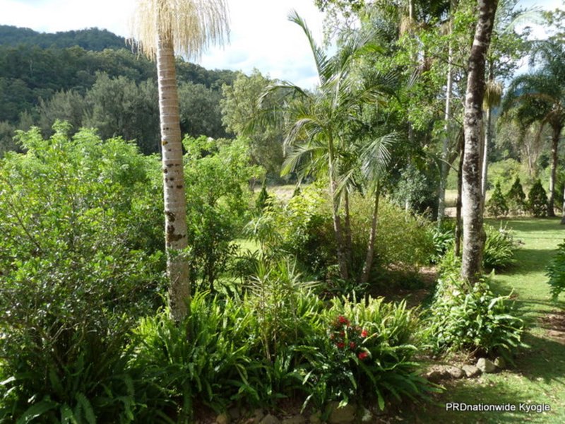 Photo - 776 Green Pigeon Road, Kyogle NSW 2474 - Image 20