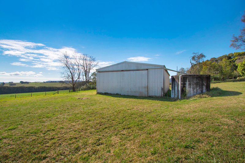 Photo - 776 Tyringham Road, Dorrigo NSW 2453 - Image 12