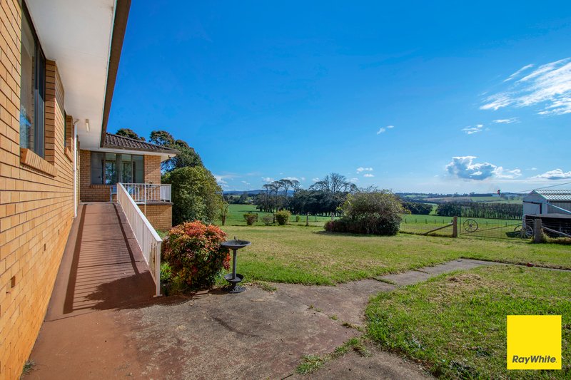 Photo - 776 Tyringham Road, Dorrigo NSW 2453 - Image 14