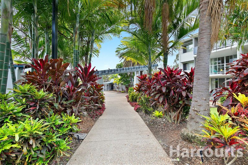 Photo - 77/68 Pulgul Street, Urangan QLD 4655 - Image 14